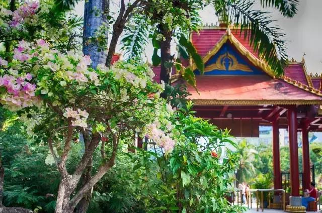 旅行社十大隐藏玩法,国内旅游坑局大揭秘