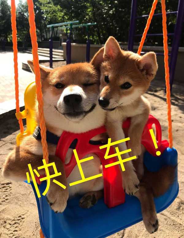 宝妈能做的兼职有哪些比较靠谱,适合宝妈的兼职带娃赚钱两不误