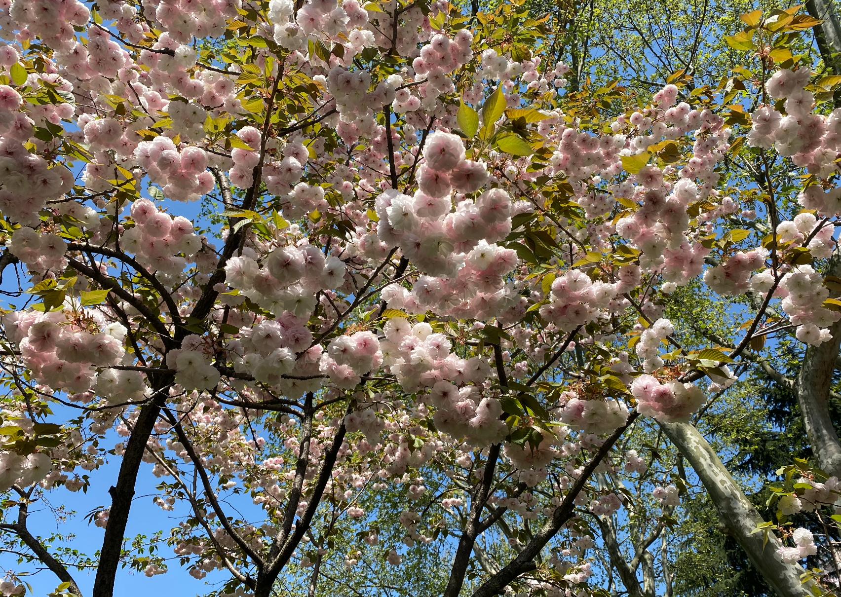 魔都哪些适合情侣打卡的约会圣地,魔都必逛约会圣地