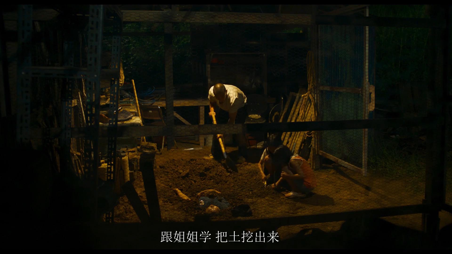 导演胆子大敢拍这样的犯罪片,韩国最新犯罪片真实改编