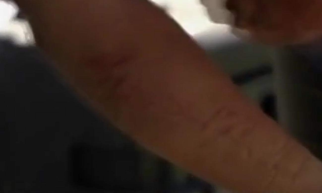 亚马逊森蚺真的能生吞活人吗？猎捕方式告诉你可能性极低
