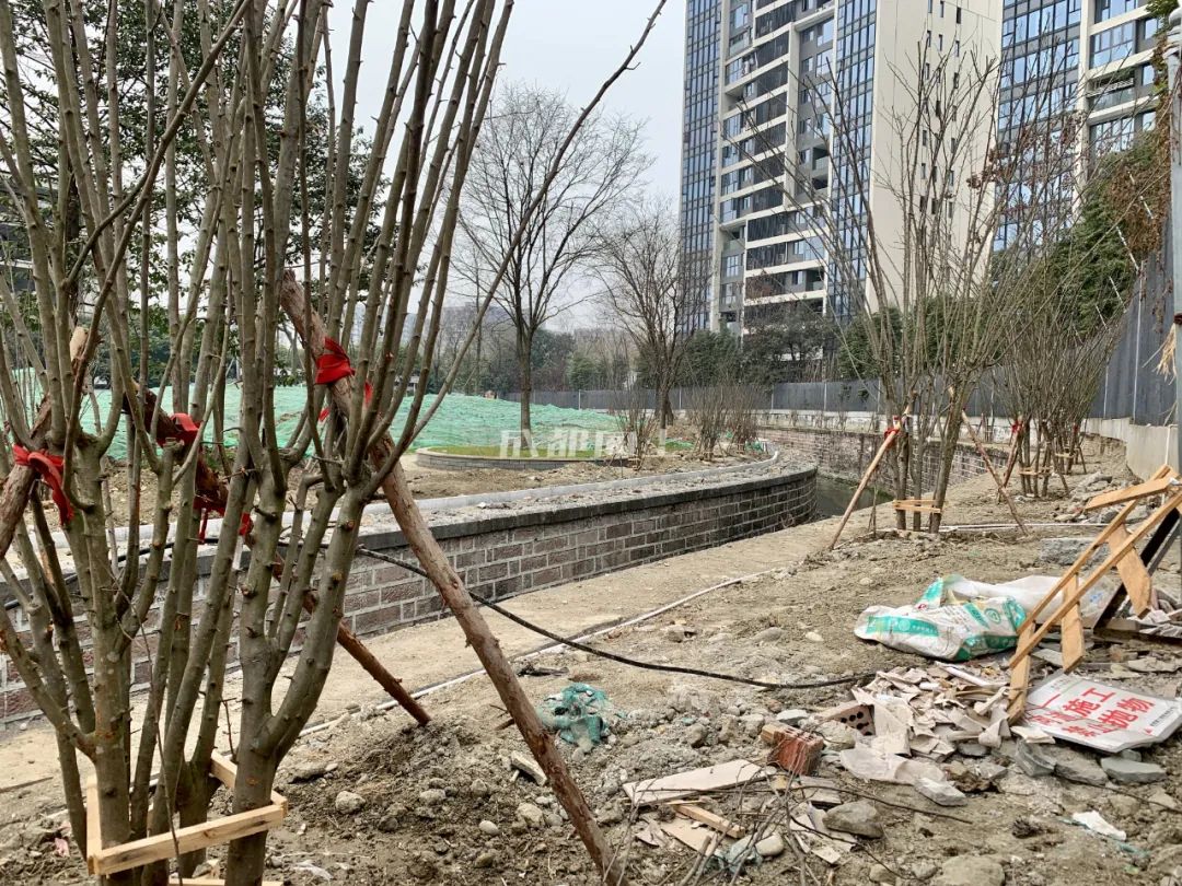 成都绿道风景美如画,成都周边哪条河边绿道最美