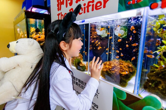 珠海横琴长隆海洋王国,珠海横琴长隆海洋王国门票价格