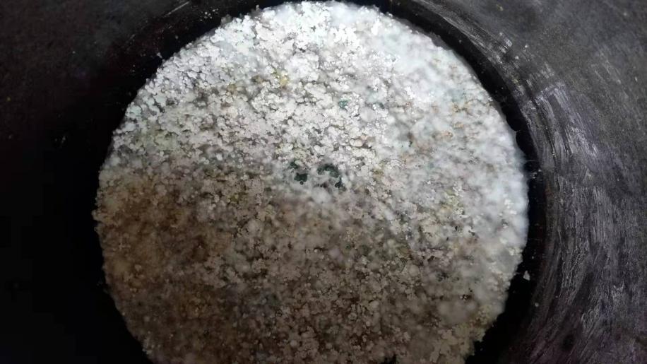 金牌土壤医疗师文龙老师谈“自然农法”，酵素和微生物菌改良土壤