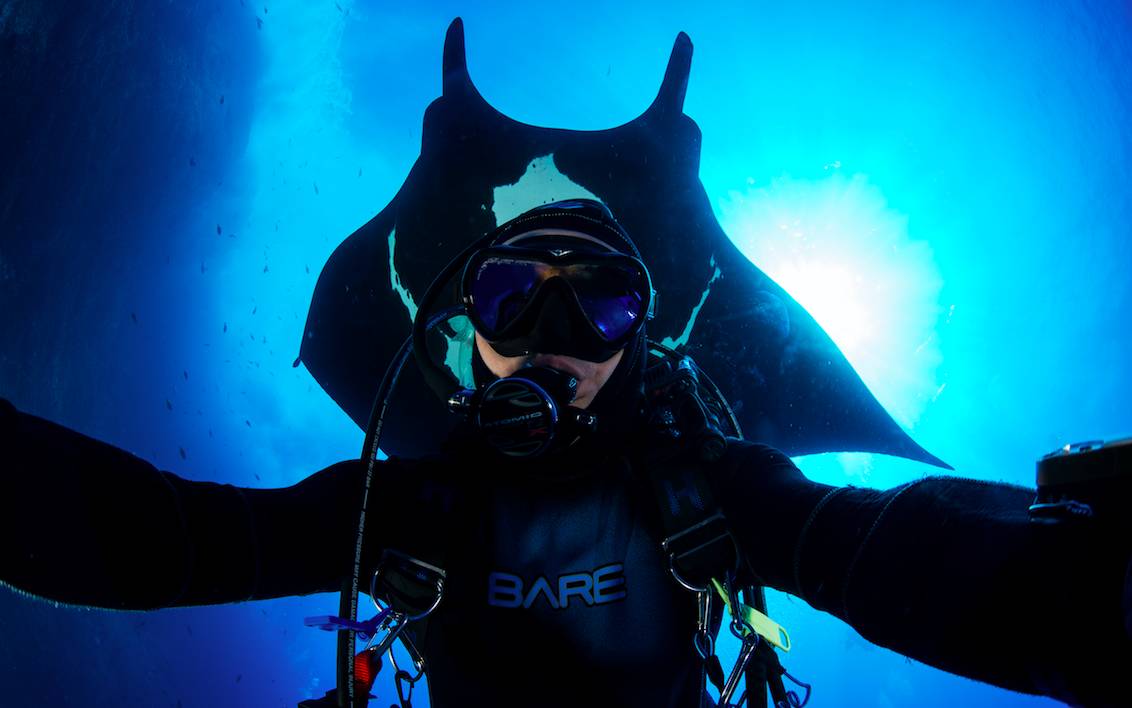 如果见过鲨鱼的家，你还会不会吃鱼翅？