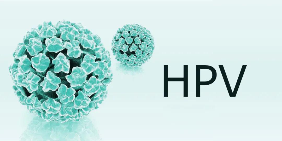 为啥看了医学科普感觉浑身是病,有关hpv病毒的科普