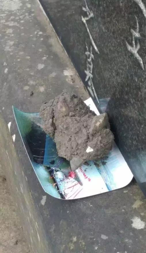 英国人看北洋水师墓上的舰船照片,英国北洋水师墓前放福建舰照片