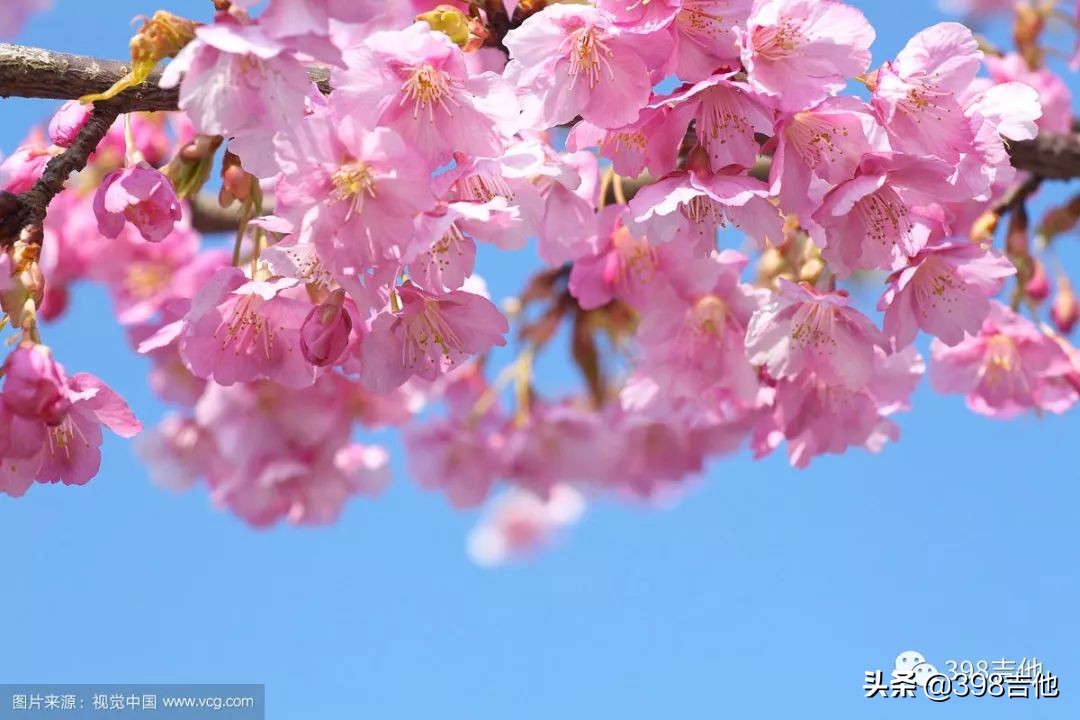 横尾幸弘动漫,横尾幸弘