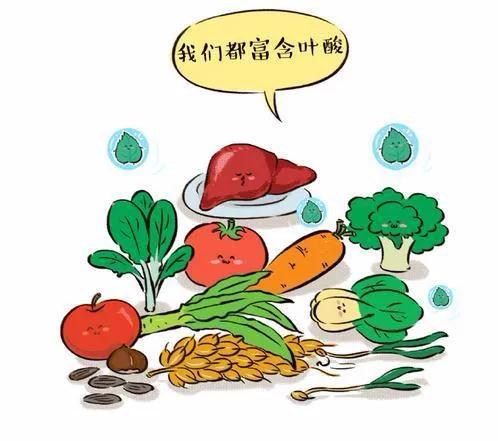 什么是叶酸吃叶酸有什么好处,哪些食物中有叶酸吃叶酸有什么用