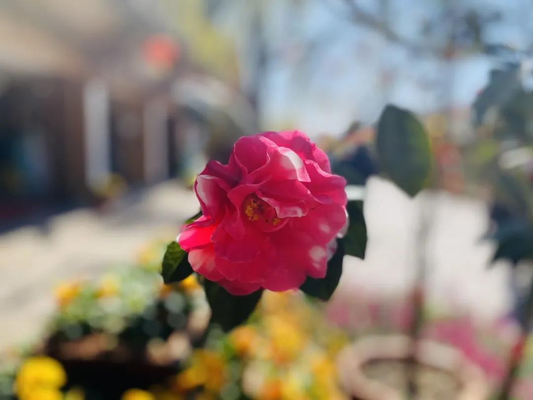 瞧！这花花世界谁不爱