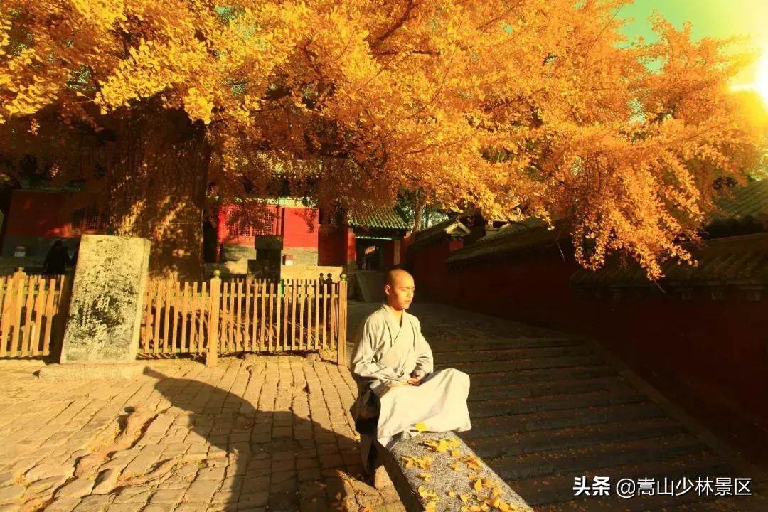 嵩山少林寺到底在哪里呢,嵩山真正的少林寺