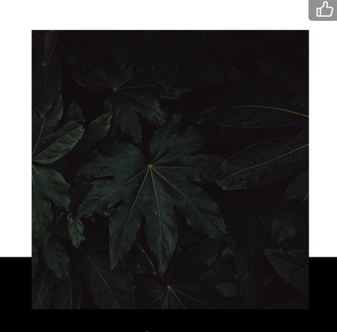 相机推荐排行榜性价比高新手,新手买什么相机比较经济实惠