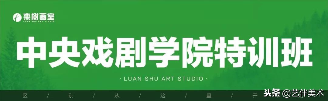 栾树集训画室效果,北京栾树画室团购