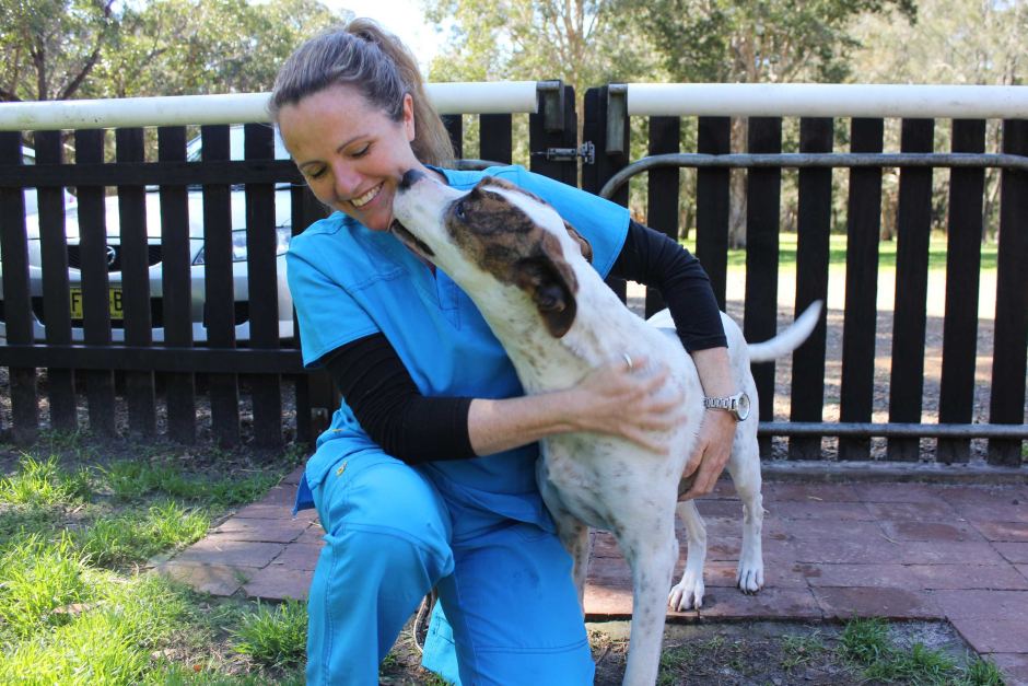 狗狗能吃煮熟的豌豆吗,狗狗能吃蚕豆豌豆吗