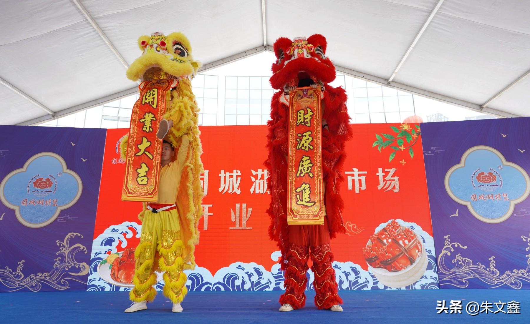 南京固城湖螃蟹市场在什么路上,南京固城湖螃蟹推介会举行