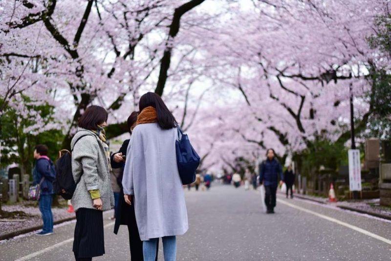【日本樱花2019】东京美食攻略邻近赏樱景点|10间餐厅推介（上）