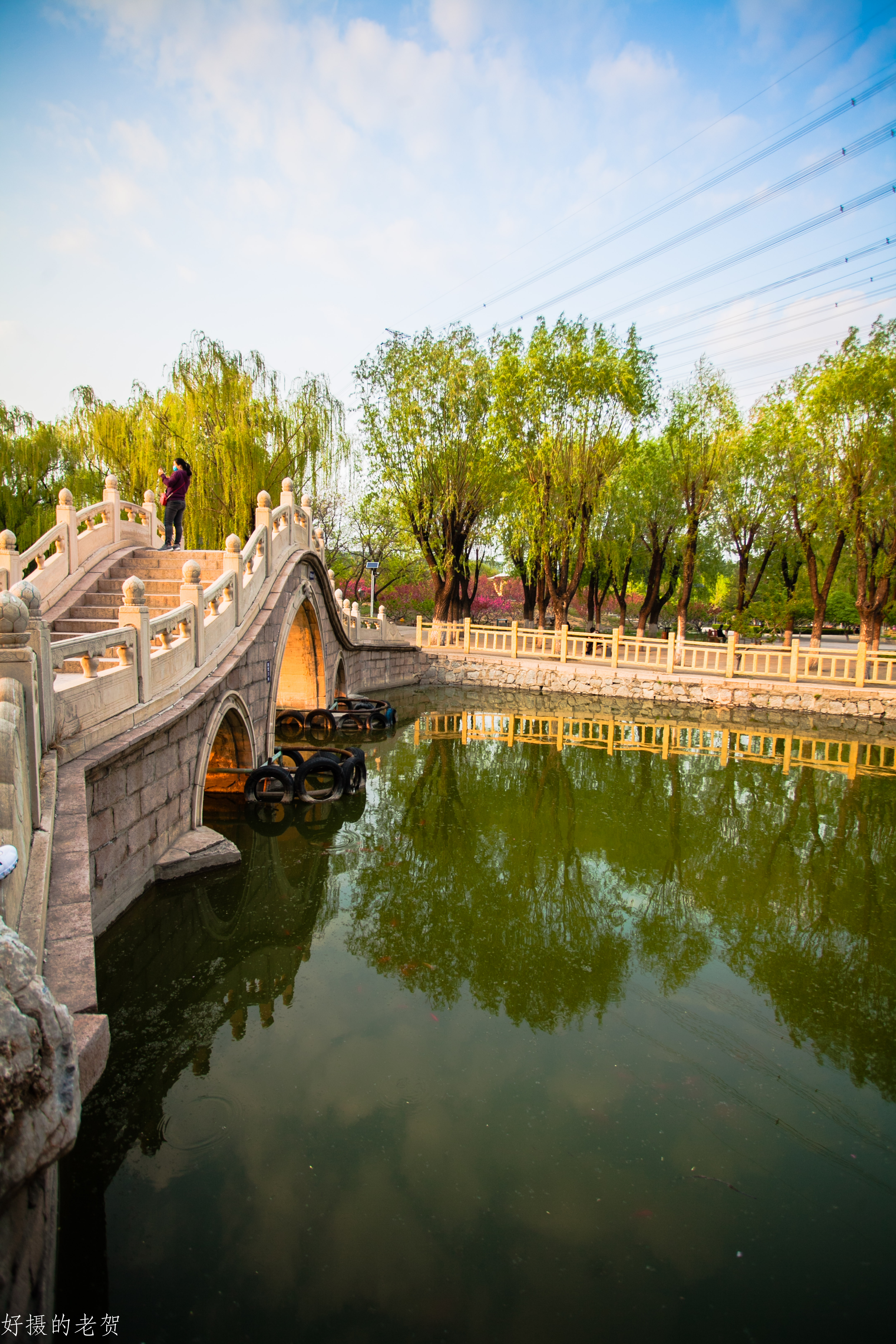 小小街头公园也有春天？疫情期间，它成为唯一舒缓心情的伊甸园