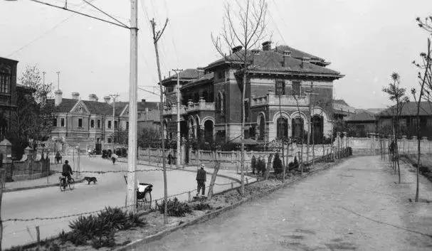 小白楼是指哪个楼,什么叫小白楼