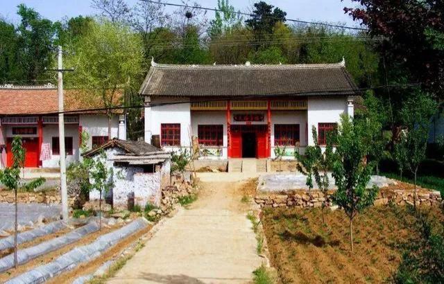 门前栽什么树有什么寓意,五树进宅是哪五种树俗语