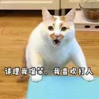 5种不同的抱猫姿势,女人抱猫睡觉的正确姿势