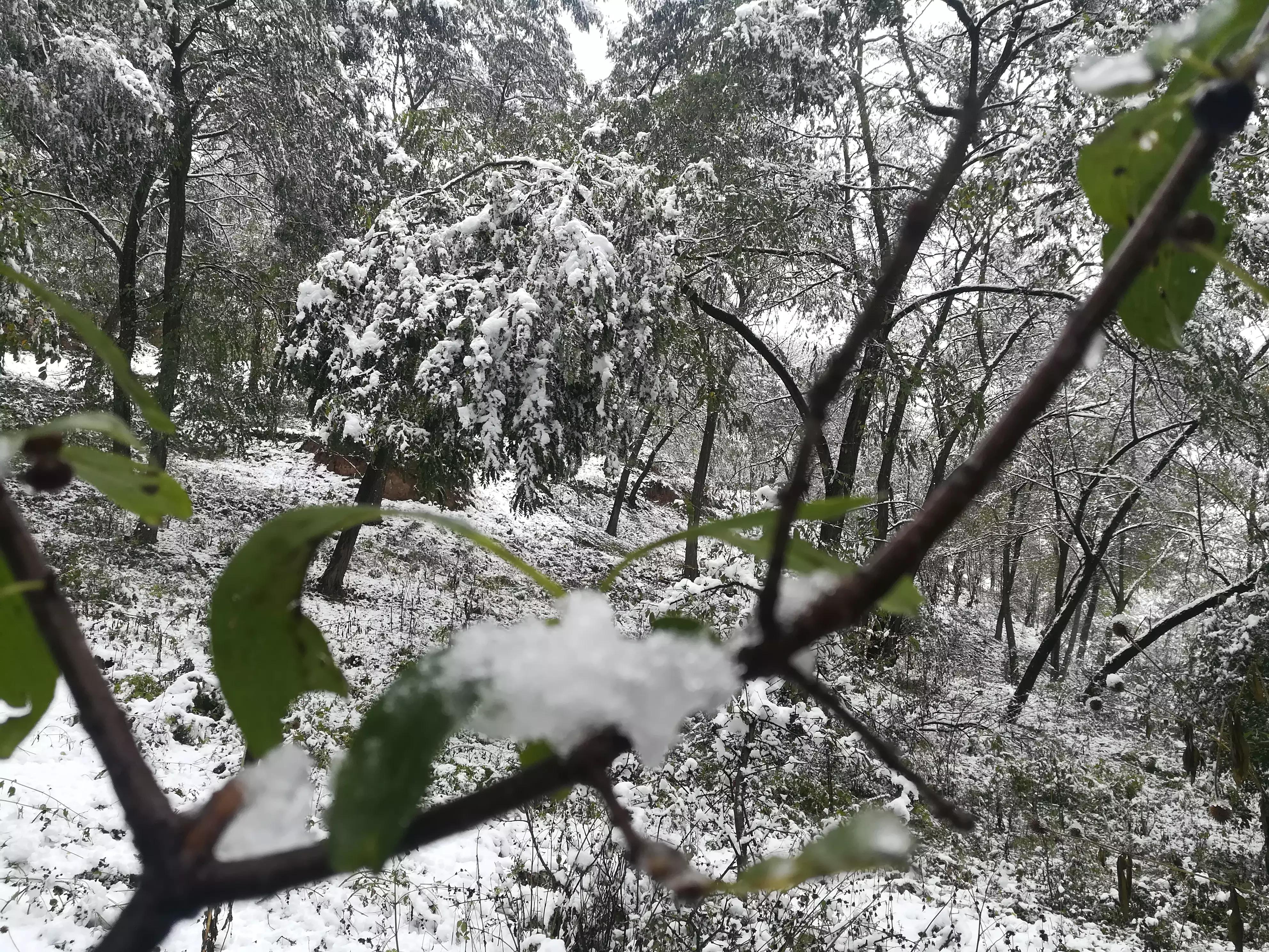 在村里工作有什么困难,在村里做事有意思吗