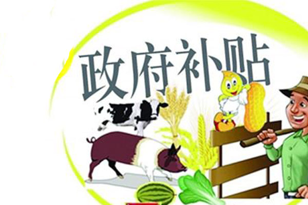 农业项目怎样才能拿到补贴,乡村农业项目补贴最新政策