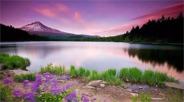 康养旅居的运营方案,康养旅居需要什么手续