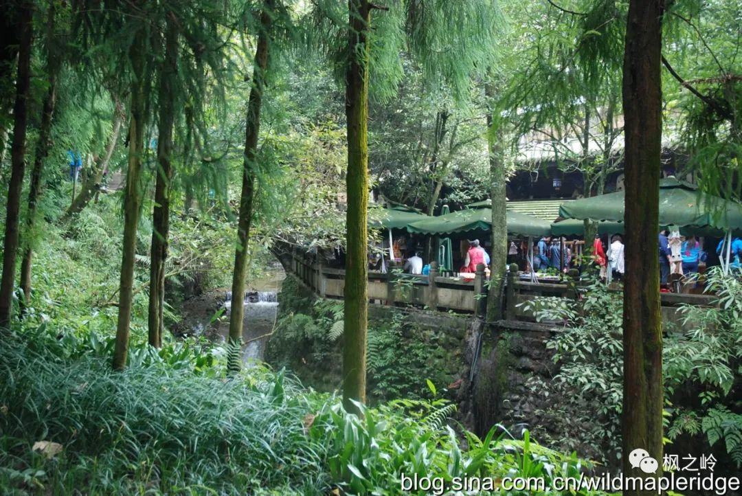四川青城山问道,问道青城山最新消息