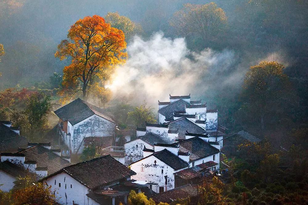 散文追寻遗落的秋光,追寻遗落的秋光全文