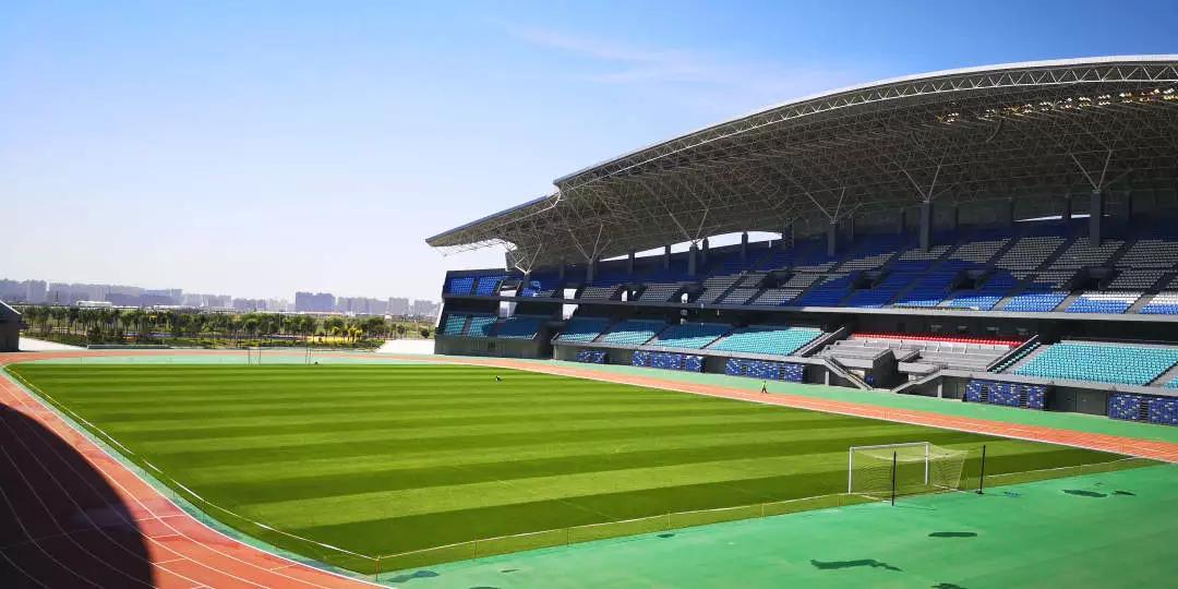 蒙草快乐小草亮相全国发明展览会,蒙草生态快乐小草产品