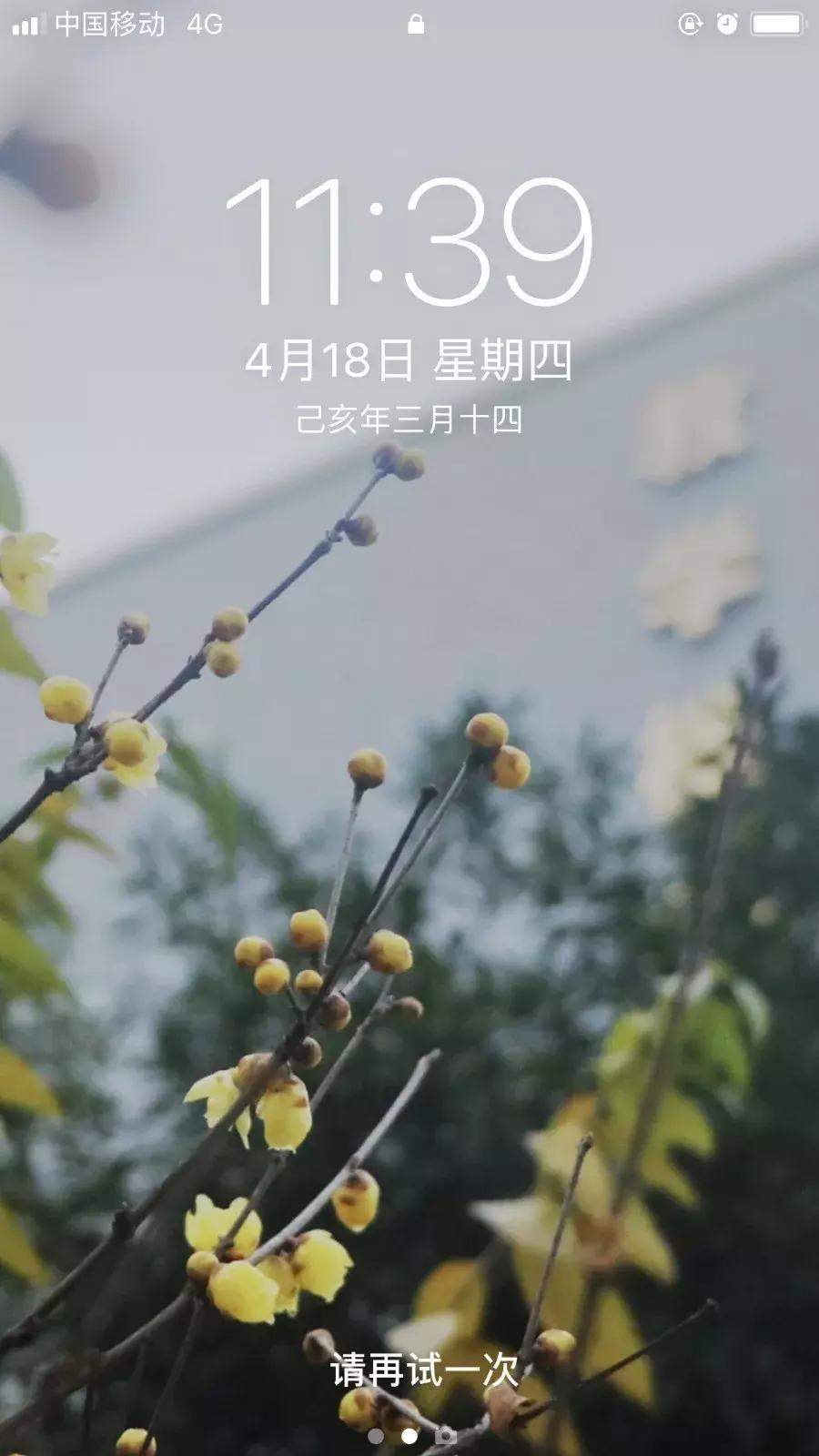 天蓝色系手机壁纸,今天又是元气满满的一天手机壁纸