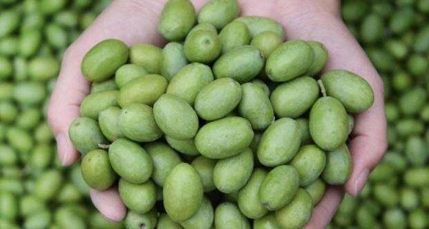 印尼特点水果有哪些,印尼三大名贵水果