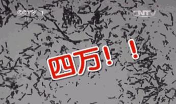 祛背部痘印的日常方法,用什么可以祛后背痘印