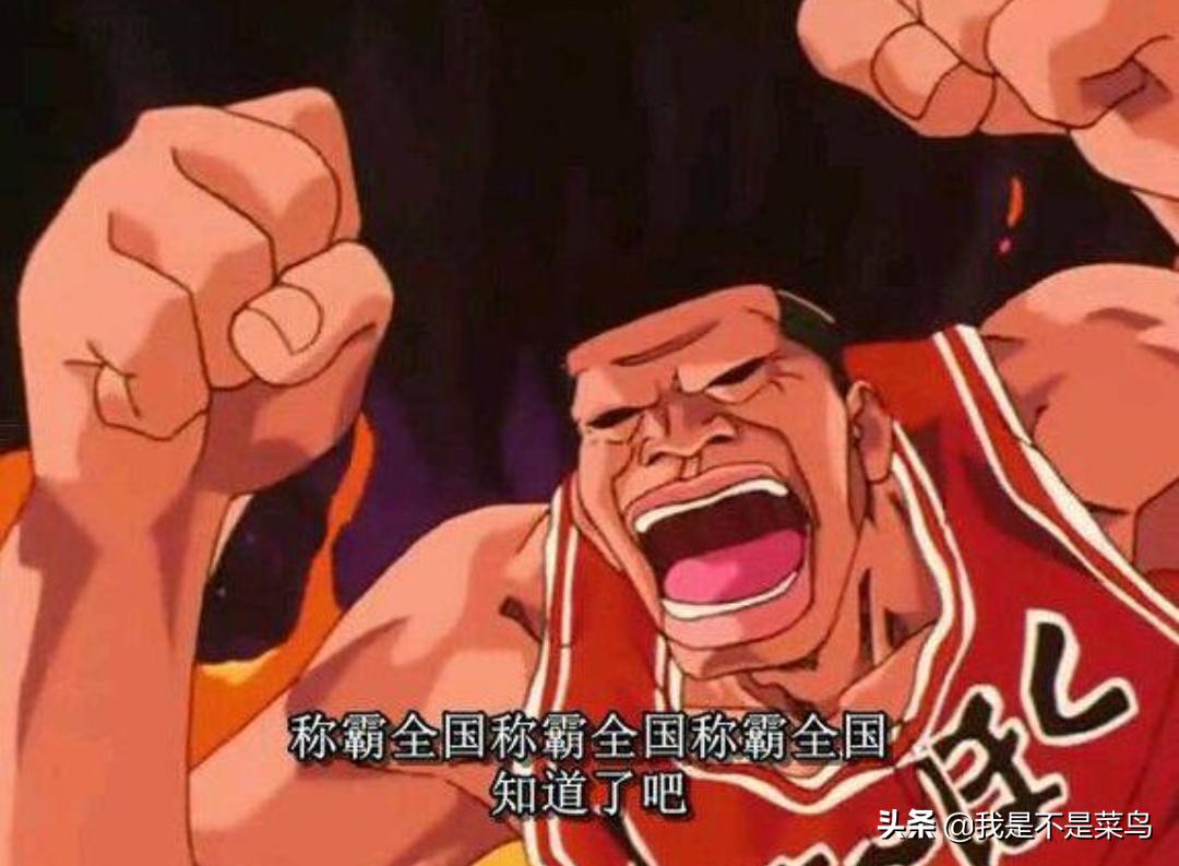 灌篮高手神奈川五大最佳阵容,灌篮高手神奈川八强对阵图