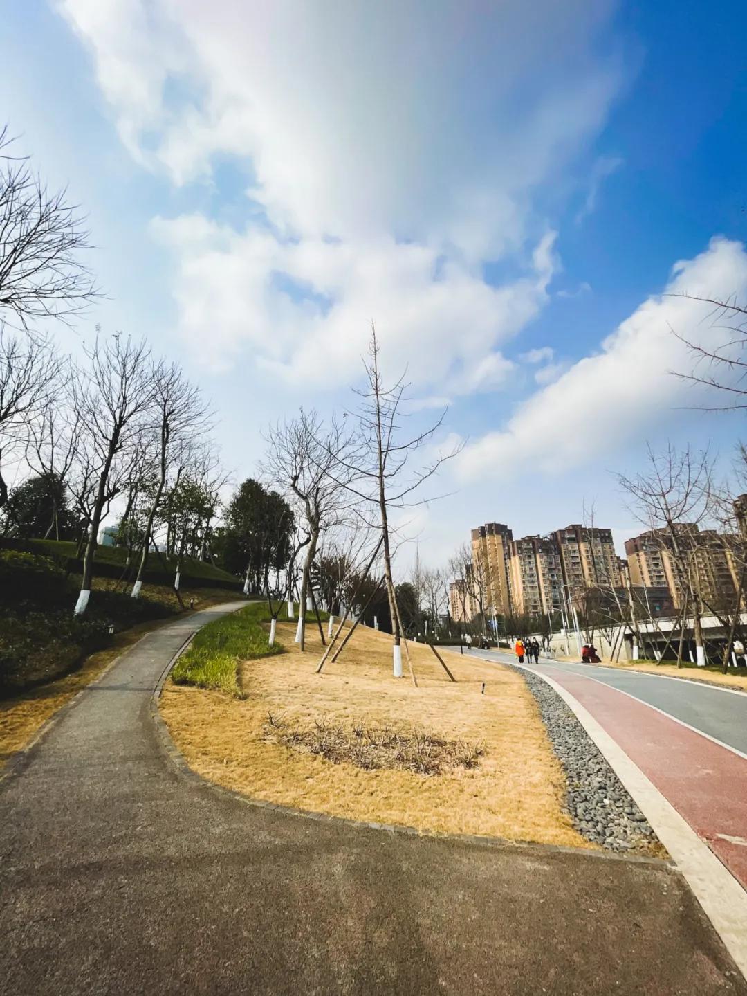 最好的足球场地是哪里,最好的足球场地在哪里