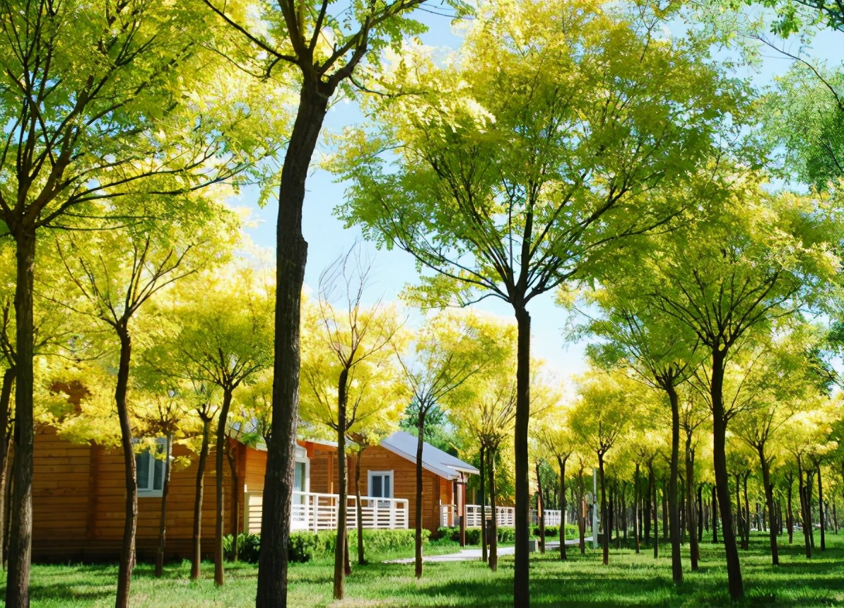 天津十大自然风景区,天津九山顶自然风景区赏秋