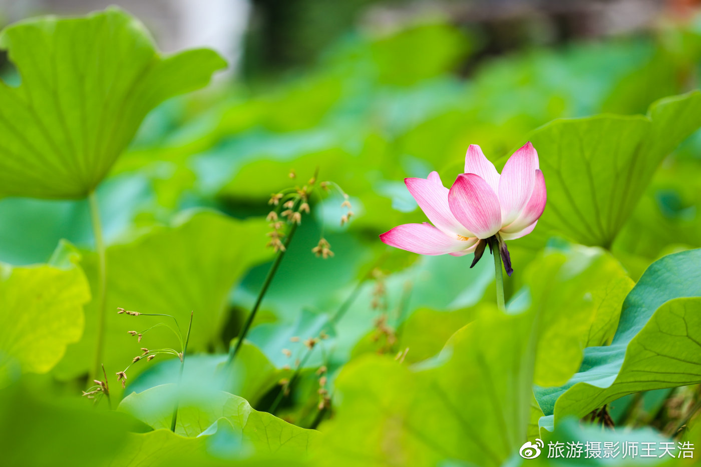 户外摄影向笨重电脑说拜拜，RAVPower无线WiFi-文件宝评测来了