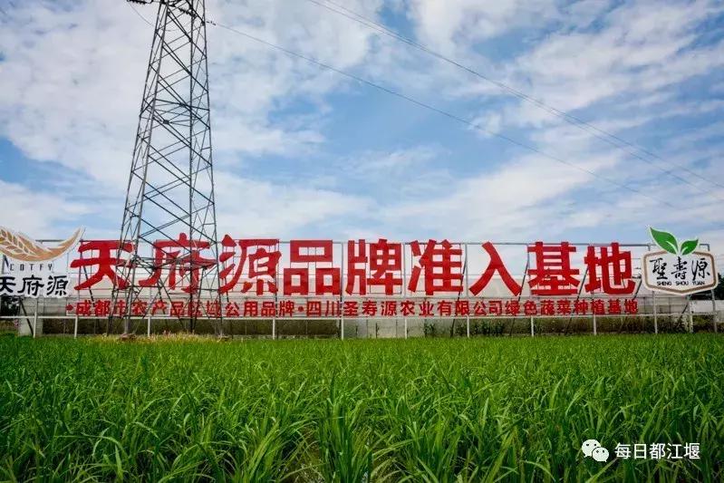 壮丽70年·奋斗新时代｜农村电商让都江堰农旅产品“香”起来！