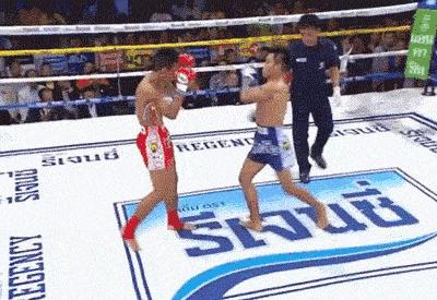 搞笑动图gif图片,搞笑动图gif图片合集