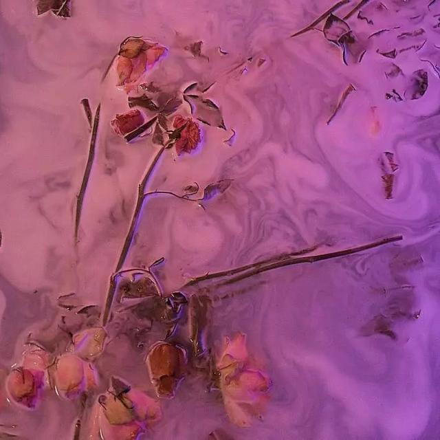 发抖音必火的句子伤感文字,抖音快手最火的伤感句子