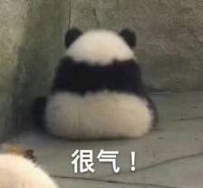 四川人说普通话不标准怎么处理,你知道为什么四川人不讲普通话吗