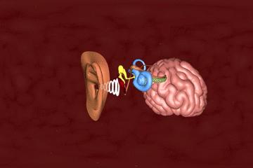 浣犵殑韬綋鍒板簳闀夸粈涔堟牱,浣犵煡閬撲綘鐨勮韩浣撻暱鍟ユ牱瀛愬悧