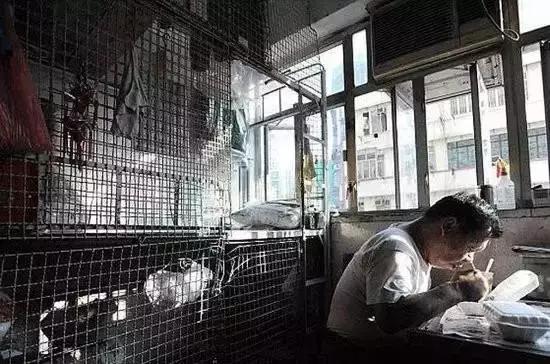 香港鸽笼房和棺材房真实生活,香港的棺材房是怎么样的