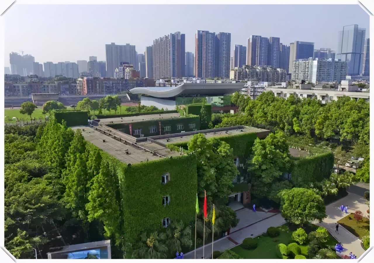 成华区小升初家长端,成华小升初排名一览表