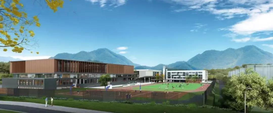 尖叫！苏州碾压一线城市，迎来高光时刻