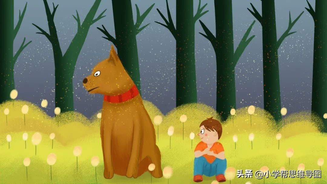 秘密花园读后感大全100篇,秘密花园要点内容摘录180字以内