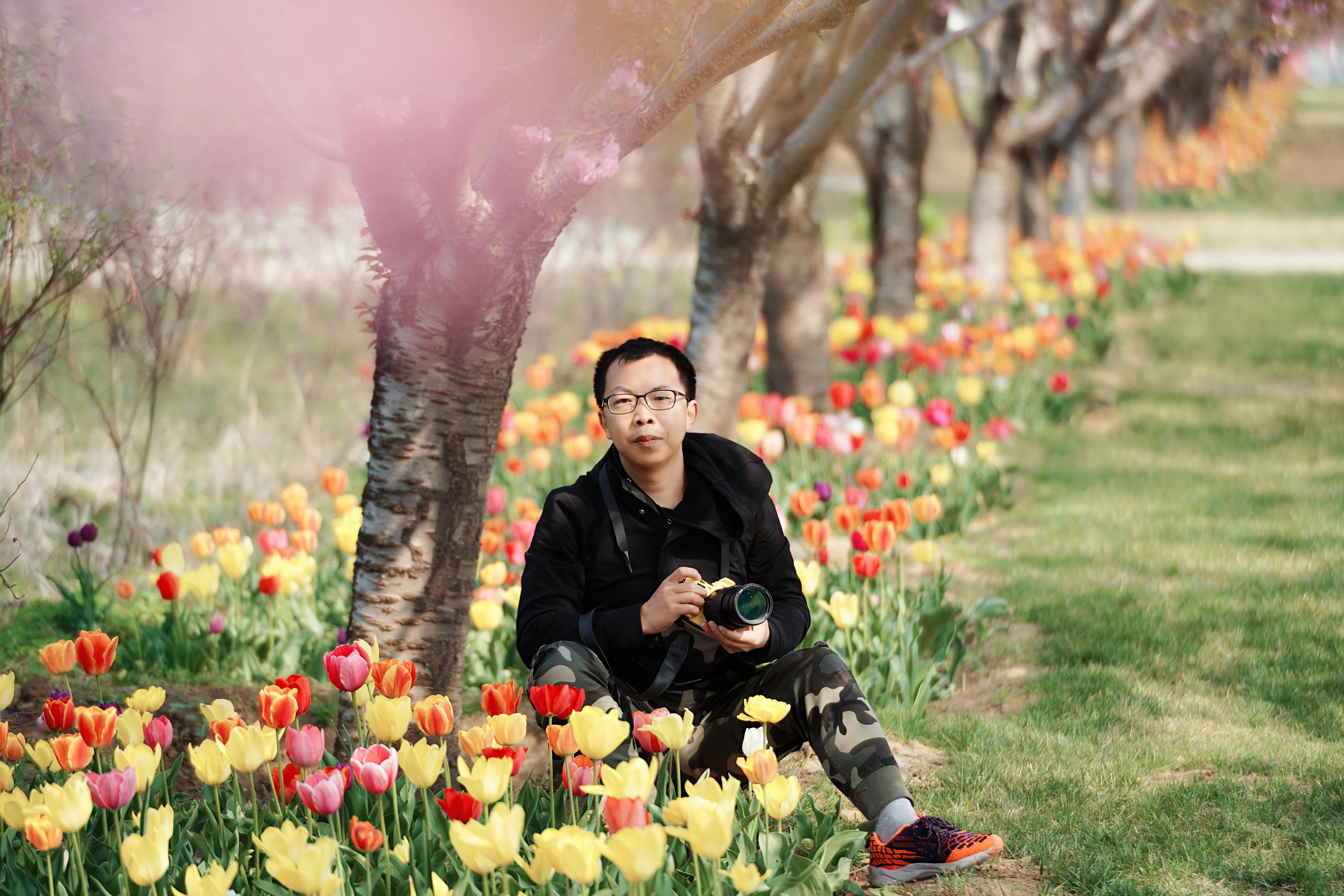 国际鲜花港郁金香,看郁金香北京国际鲜花港