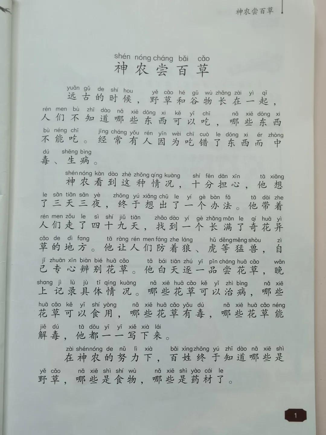 通过这半年的撒网阅读南瓜对历史产生了强烈的兴趣