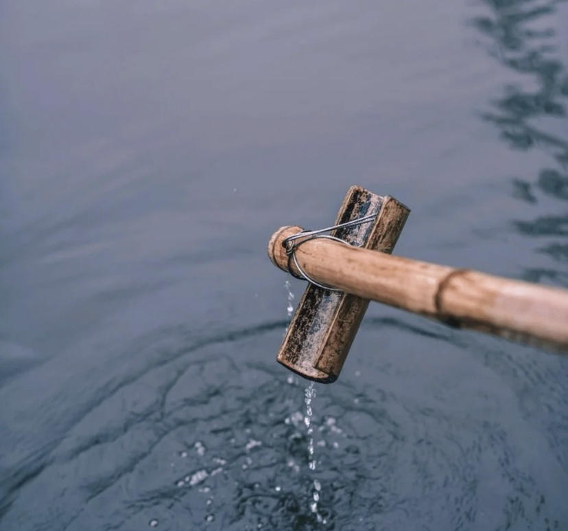 成都露营遛娃抓蝌蚪,成都周边避暑遛娃