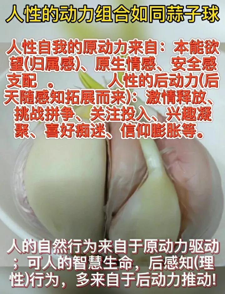 孩子辍学在家整天玩怎么办,儿子读大四了还整天玩游戏怎么办